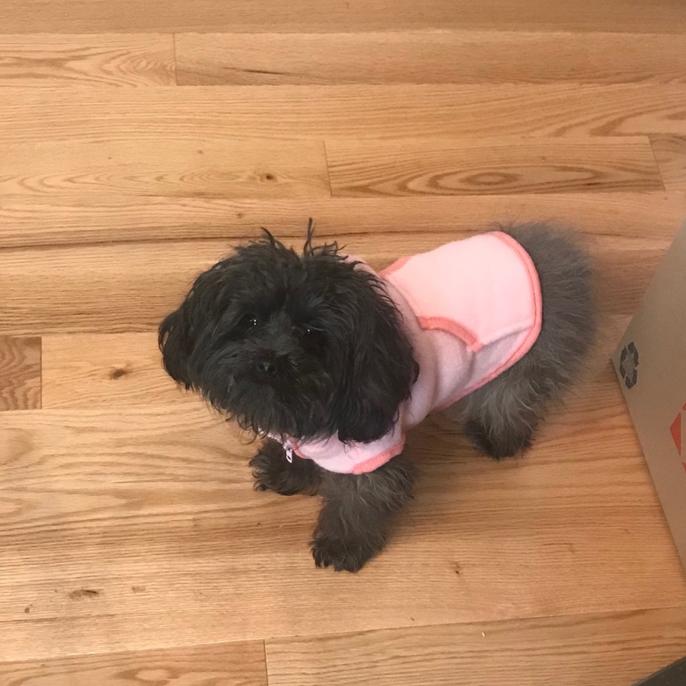 Meet your Posher, Jackie - Picture 4 of 6